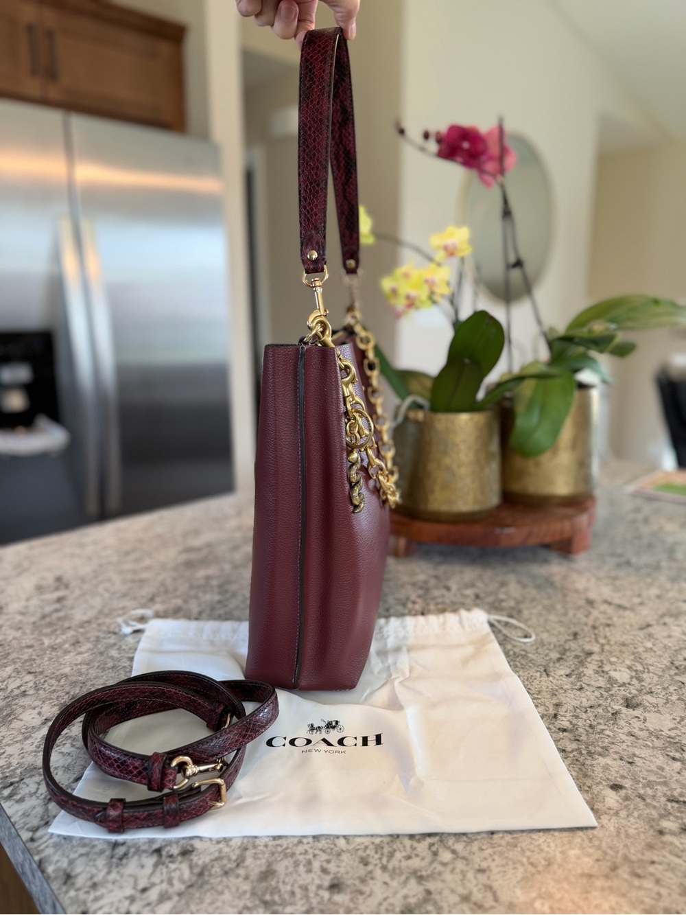 Coach Mollie Bucket (Style CC754) Wine and Python - Picture 4 of 8